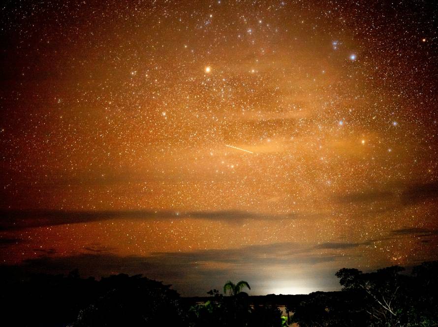 Starry night sky over the Amazon rainforest, captured in vibrant colors.